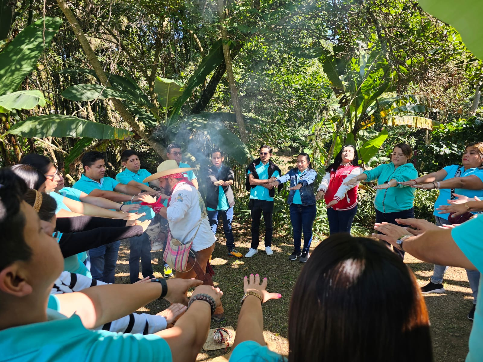 Experiencia de café en la finca de Cielo Abierto