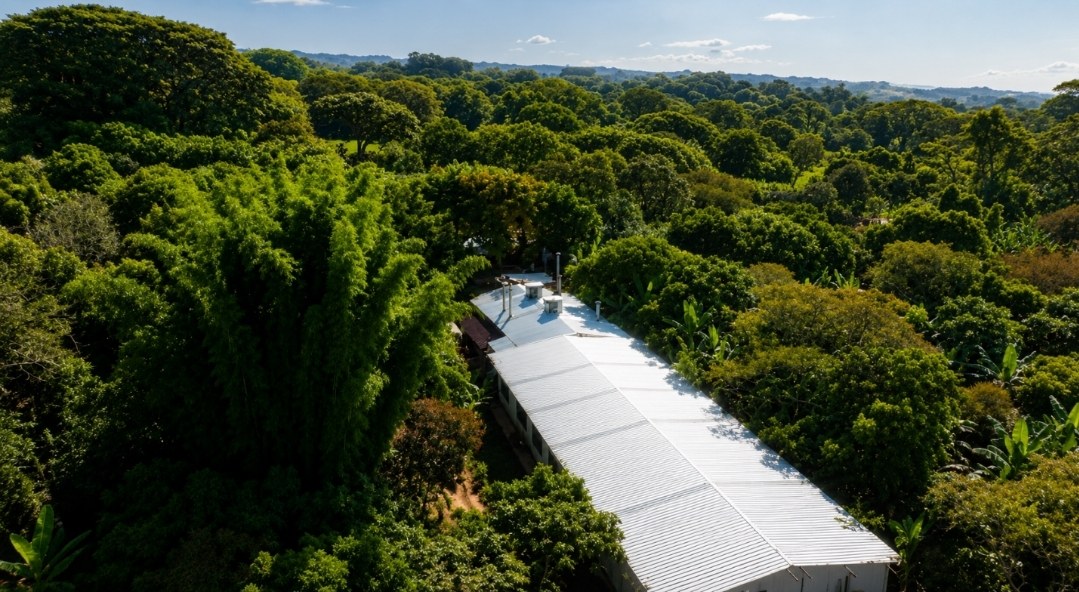 Vista aérea de la planta tostadora de Cielo Abierto rodeada de bosque en Coatepec